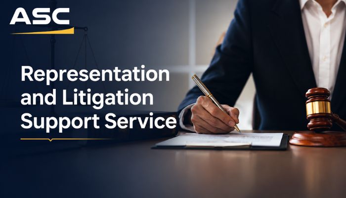 Representation and Litigation Support Service